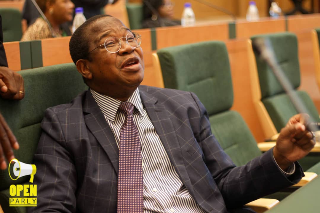 Mthuli Ncube fails to allocate 15% of the budget to health