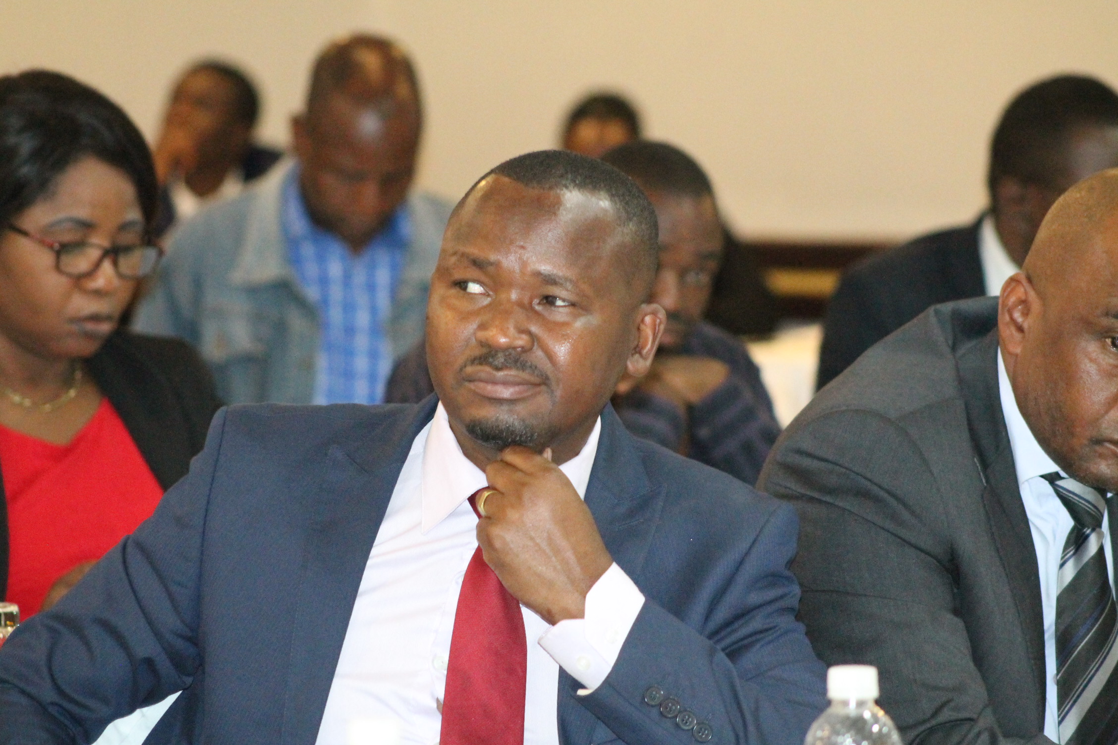 Delimitation Report faults can easily be fixed, says Dubeko-Sibanda