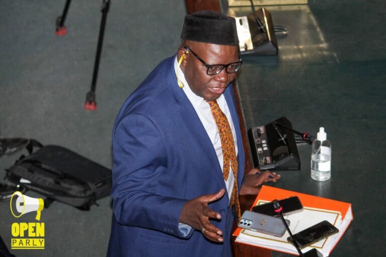 It is an embarrassment that as a country we want to borrow US$15 million, says Biti.