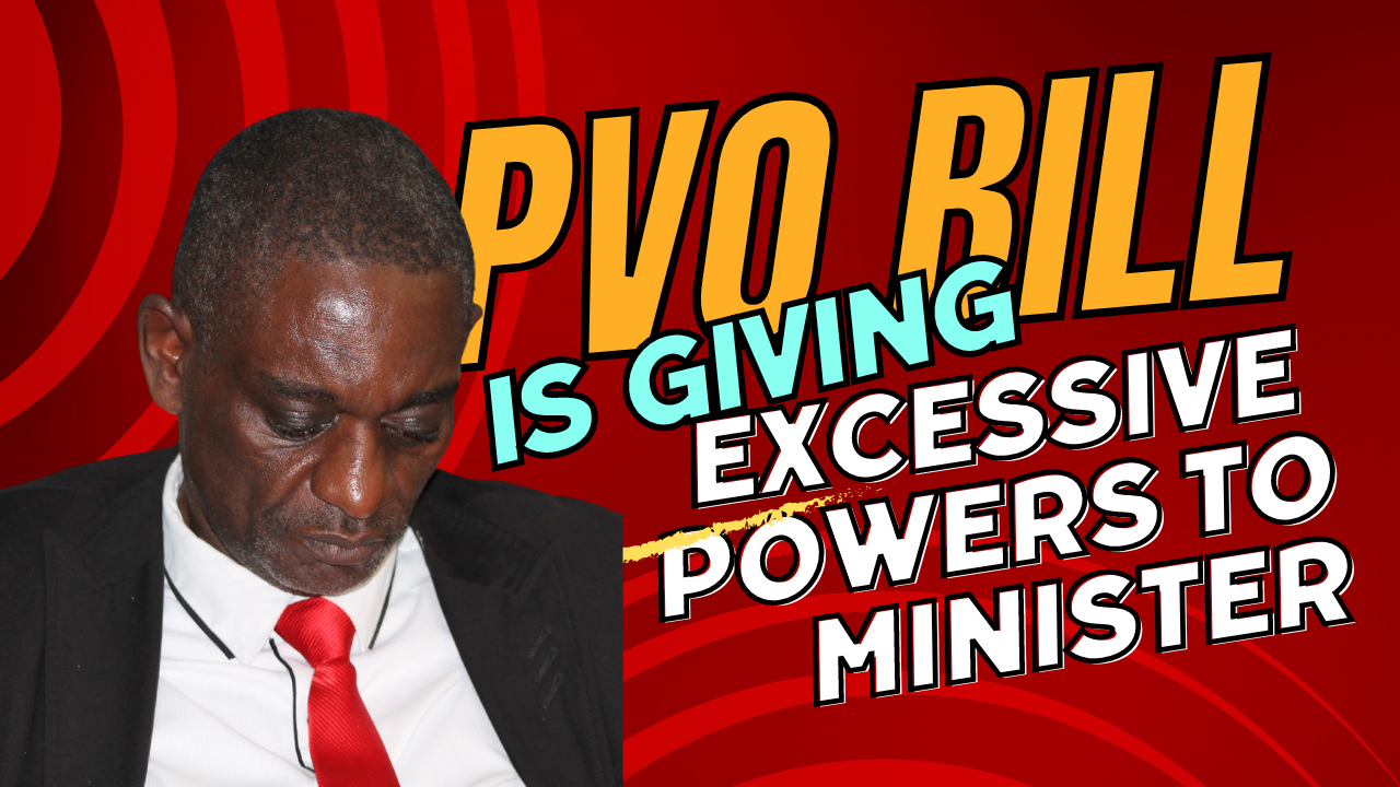 Innocent Gonese tells Parly that the PVO Bill gives the Minister too much power #StopThePVOBill