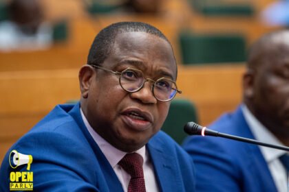 Mthuli Ncube gets Parliament approval to borrow US$37.1m for horticulture support
