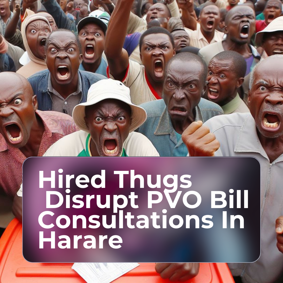 Thugs Disrupt PVO Bill Public Hearing in Harare [Video]