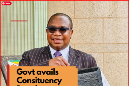 Govt Allocates US$10.5m for Constituency Development Fund