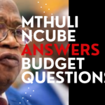 Mthuli Ncube answer budget questions [Download]