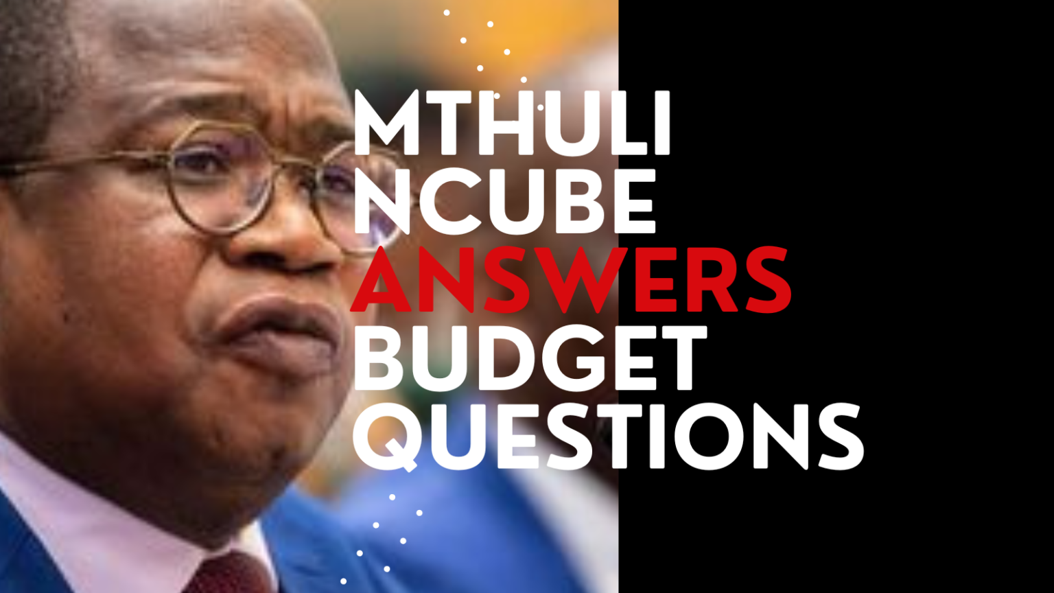 Mthuli Ncube answer budget questions [Download]