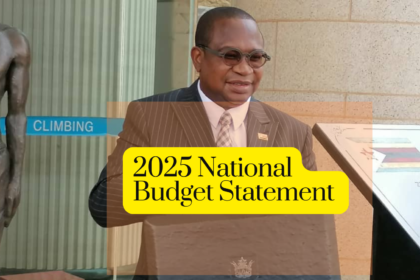 2025 National Budget Statement [Download]