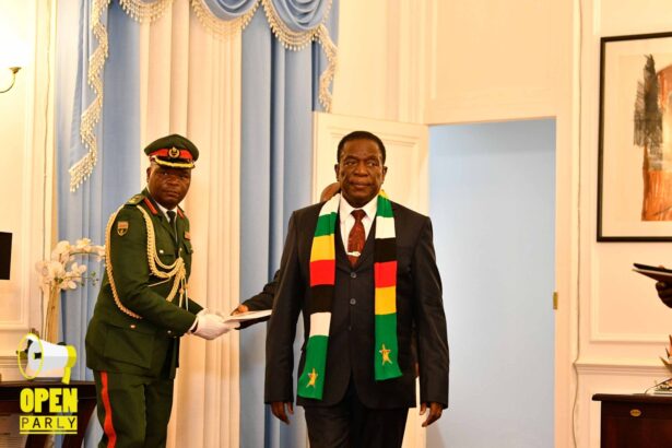 Mnangagwa signs PVO Bill into law, ignores strong opposition