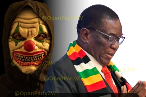 After Mugabe’s Impeachment by Monica Mutsvangwa, Who Will Push for Mnangagwa’s Removal