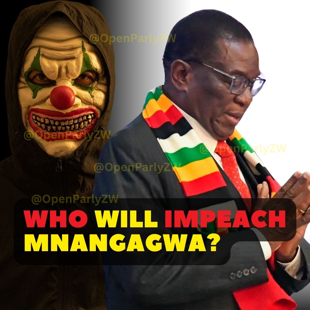 After Mugabe’s Impeachment by Monica Mutsvangwa, Who Will Push for Mnangagwa’s Removal