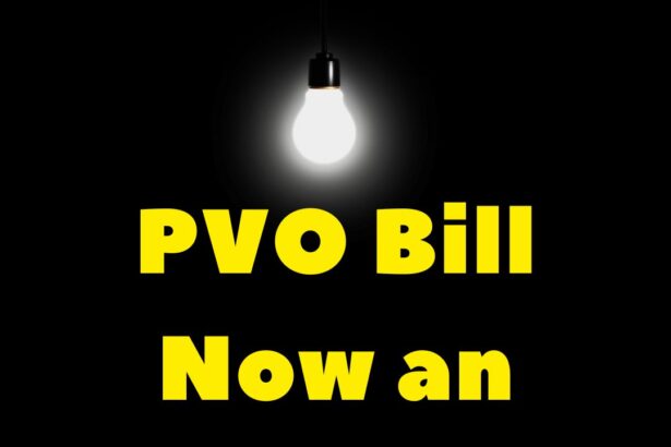 PVO Bill Now An ACT Of Parliament [Download]
