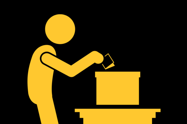 ZESN Raises Concern Over Low Voter Turnout in Glenview South By-Election