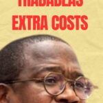 Mthuli Ncube Explains Trabablas Interchange Costs