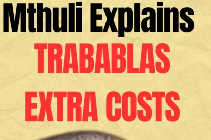 Mthuli Ncube Explains Trabablas Interchange Costs